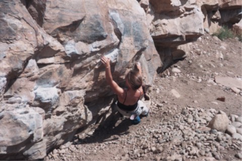 The Mega Traverse