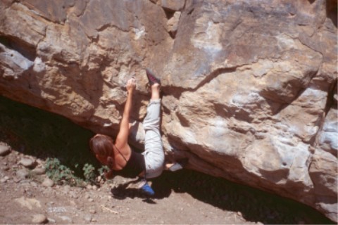 The Mega Traverse