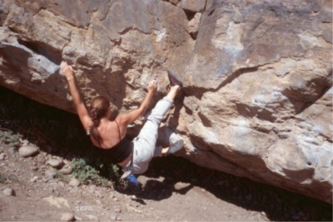 The Mega Traverse