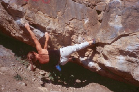 The Mega Traverse