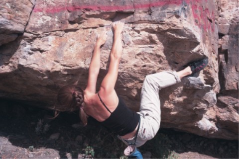 The Mega Traverse