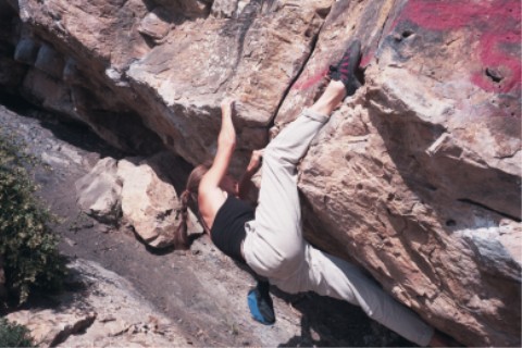 The Mega Traverse