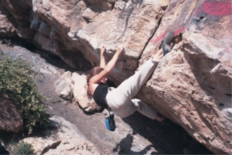 The Mega Traverse