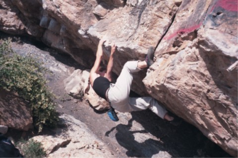 The Mega Traverse