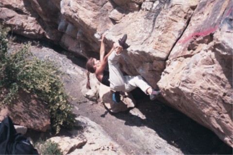 The Mega Traverse