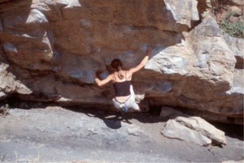 The Mega Traverse