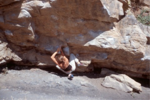 The Mega Traverse