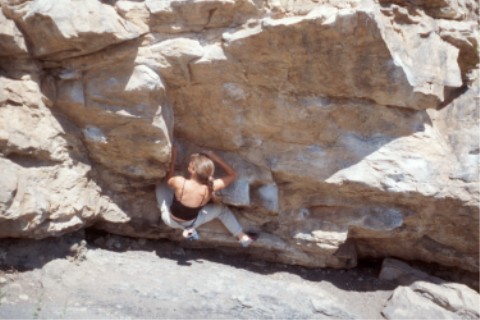 The Mega Traverse
