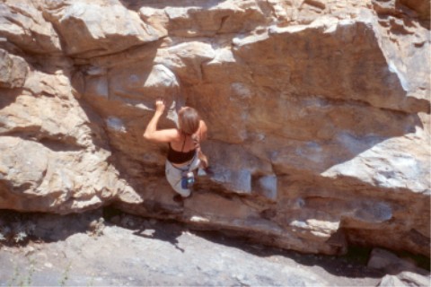 The Mega Traverse