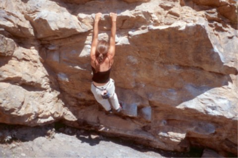 The Mega Traverse