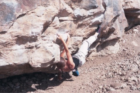 The Mega Traverse