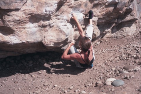 The Mega Traverse