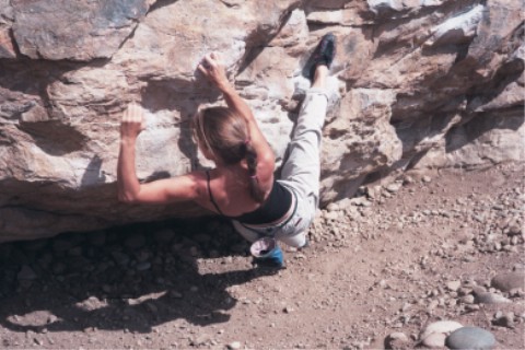 The Mega Traverse