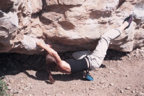 The Mega Traverse
