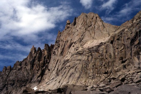 Wolf's Head