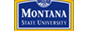 MSU-CoT
