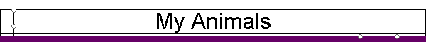 My Animals