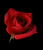 click here to read my poem and a few others that I enjoy...