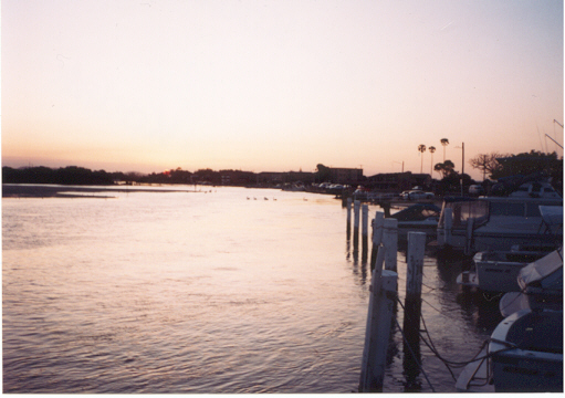 forster