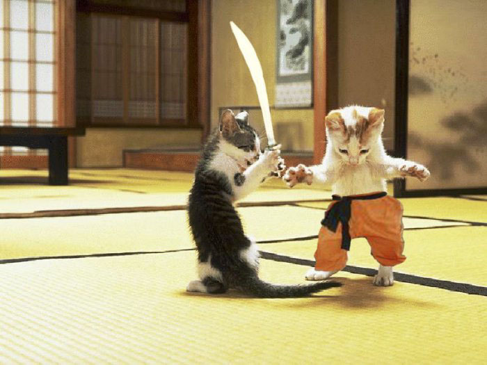 Kat-Fu