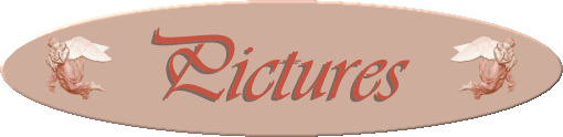 Pictures