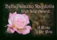 BellaPalazzo Ragdolls Award 2003