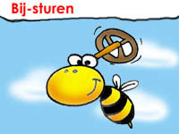 bijsturen
