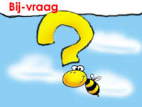 bijvraag