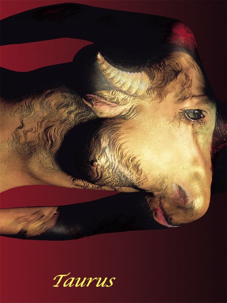 stier