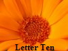Letter Ten