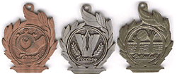 spincast medals04