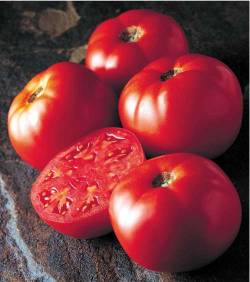 Health - Tomatoes against sunburn and wrinkles