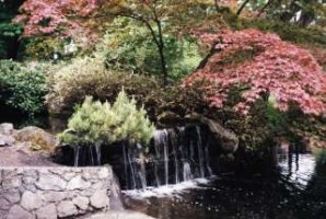Butchart Gardens, Copyright: Milson Macleod 2000