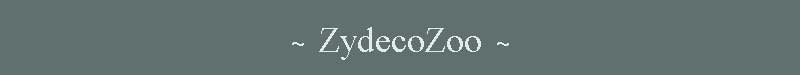 Missippy James ~ guitar teacher in Tallahassee, Florida, performs live around the Southeastern United Staes with ZydecoZoo