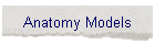 Anatomy Models