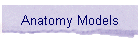 Anatomy Models