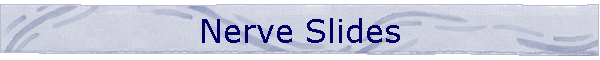 Nerve Slides