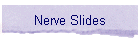 Nerve Slides