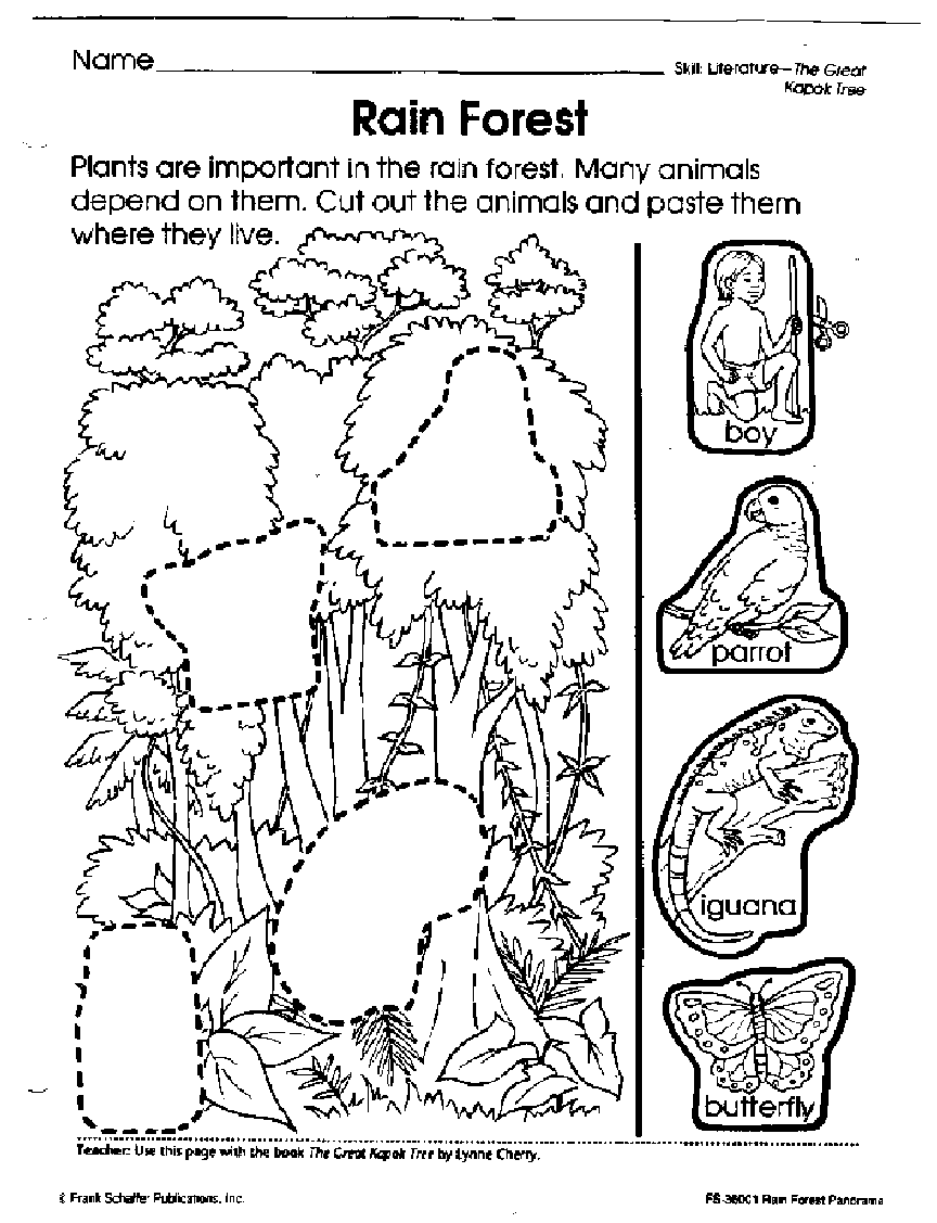 Layers Of The Rainforest Coloring Coloring Pages