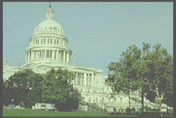 The Capitol Building