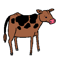 Cow