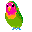 Lovebird