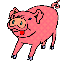 Pig