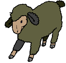 Sheep