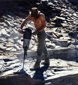 Kevin Brett, Paleontologist, University of Alberta, Edmonton