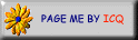 Page me with ICQ