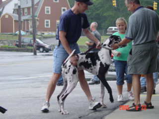 N.Smithfield 2005 MDA Run