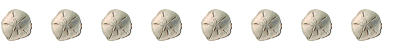Sandollar 
Line