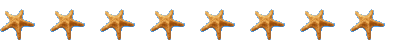 Starfish 
Line