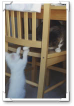 Yea! Freddie loves to play with me!